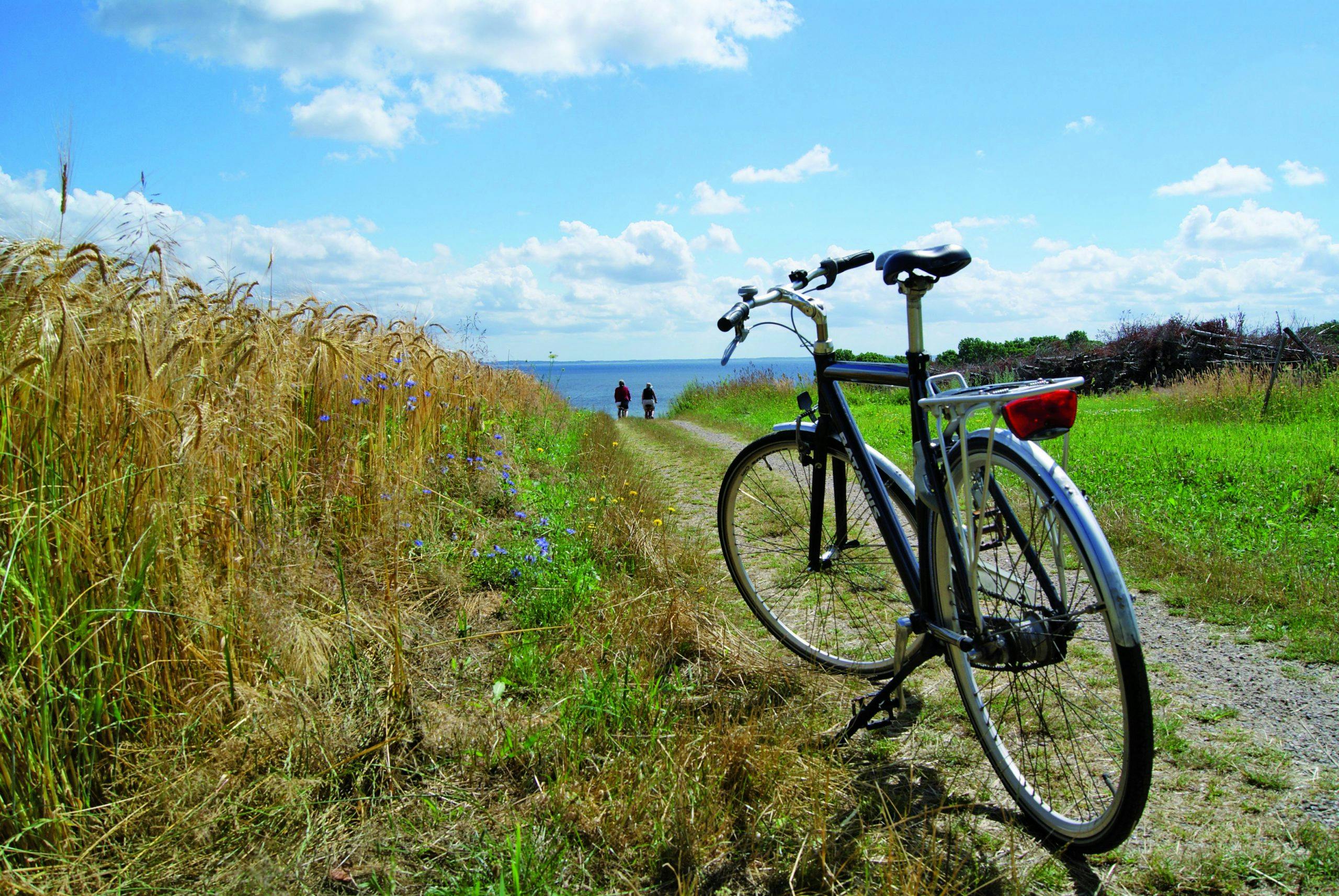Sykkelferie Danmark: danmark sykkeltur
